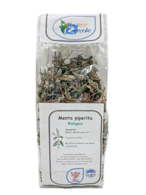 Menta-piperita