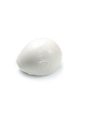 fresh italian  mozzarella on white background