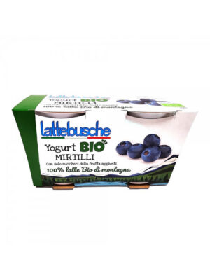 yogurt-bio-mirtilli
