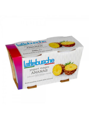 yogurt-magro-ananas-1000x1000-1