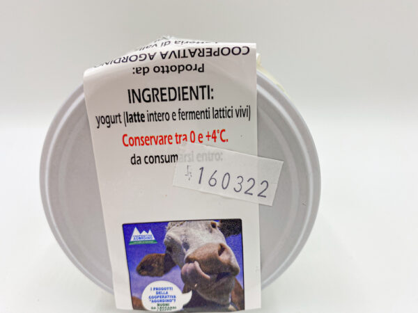 Yogurt Bianco - Image 3