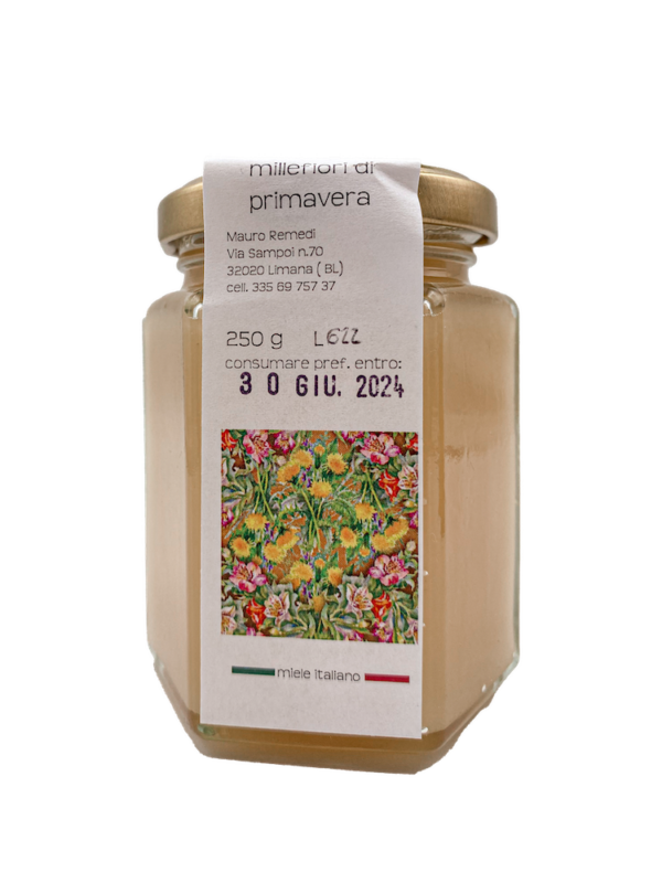 Miele Bio Millefiori di primavera 250 gr