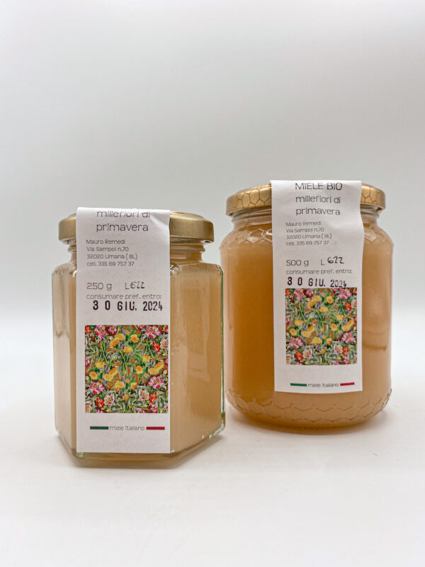 Miele Bio Millefiori di primavera 500 gr - Image 4