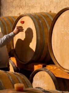 Botti di legno in cantina con un calice di vino sollevato